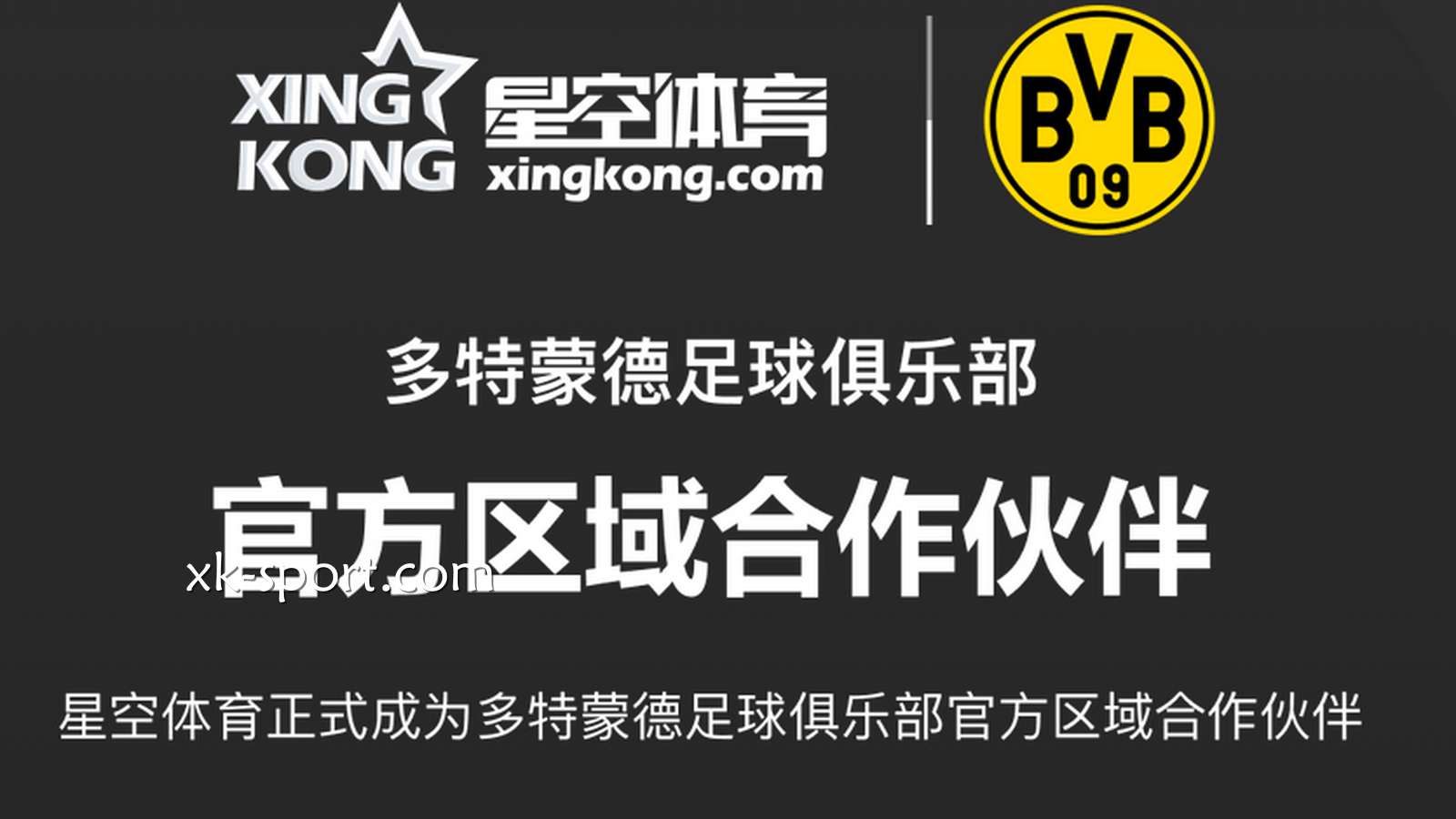 开云体育品牌赞助的多特蒙德俱乐部球星在世界杯中表现突出