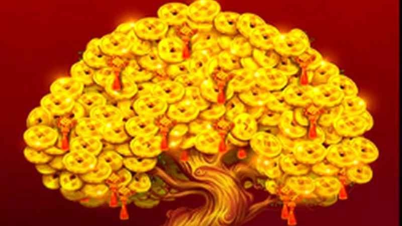 在开云体育玩多福多财街机版，让你多福又多财